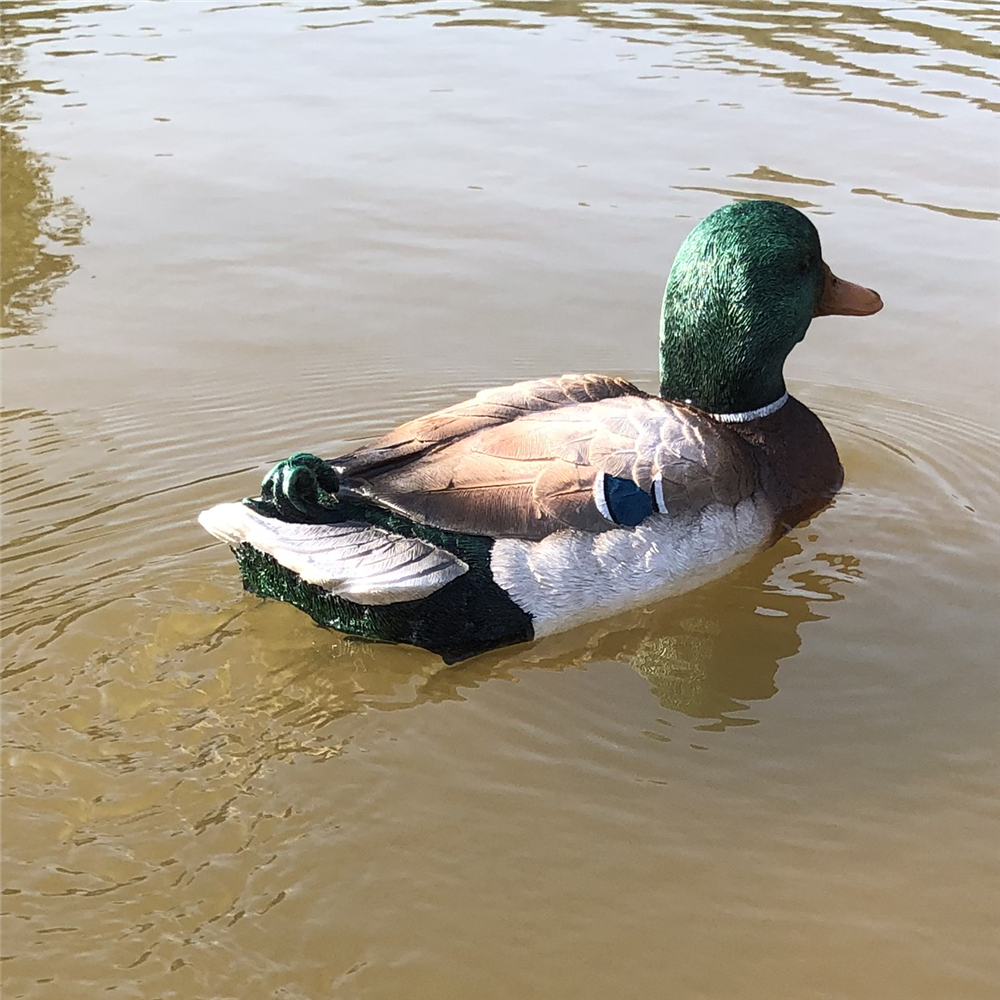 V303_RC_Duck_Boat.jpg