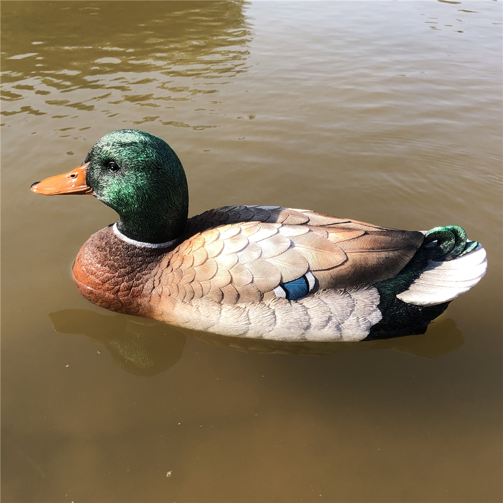 V303_RC_Duck_Boat.jpg