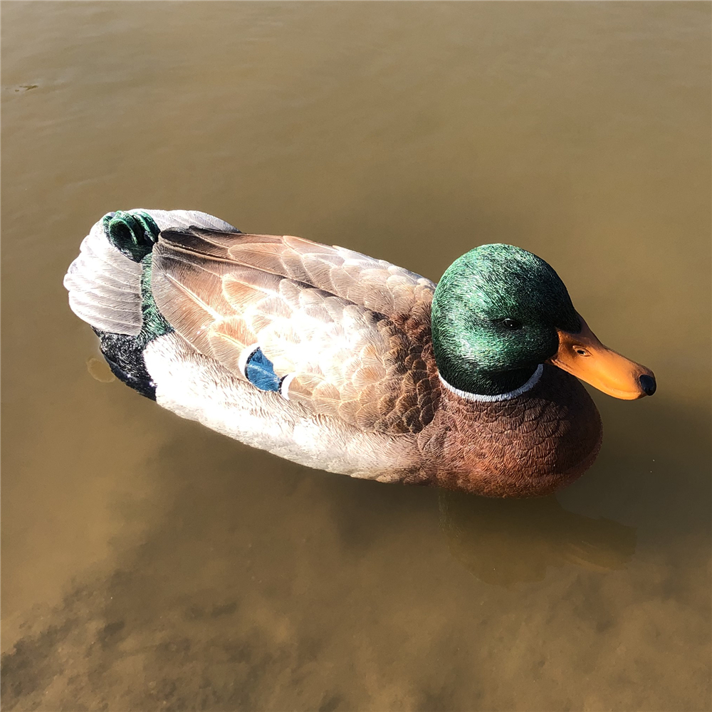 V303_RC_Duck_Boat.jpg