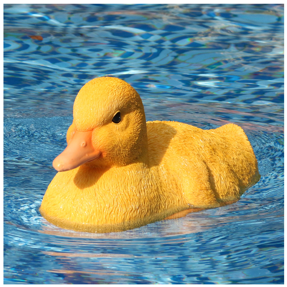 Flyte_-V203_Controllable_Cute_Baby_Duck_2_In_1_RC_Boat_For_Garden_Decoration_Swimming_Pool_Toys_10.jpg