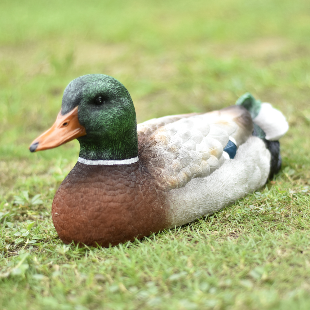 V201_RC_Duck_Boat.jpg